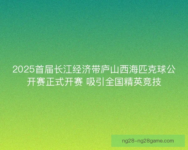 2025首届长江经济带庐山西海匹克球公开赛正式开赛 吸引全国精英竞技