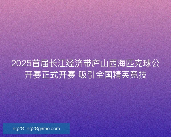 2025首届长江经济带庐山西海匹克球公开赛正式开赛 吸引全国精英竞技