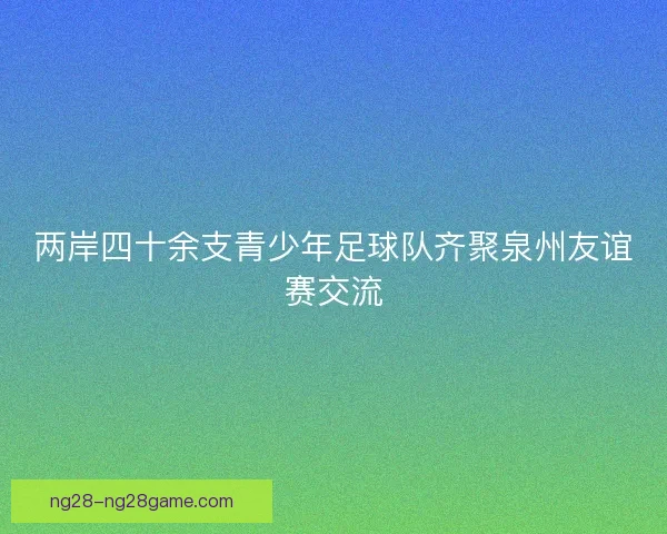 两岸四十余支青少年足球队齐聚泉州友谊赛交流