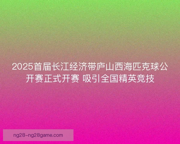 2025首届长江经济带庐山西海匹克球公开赛正式开赛 吸引全国精英竞技